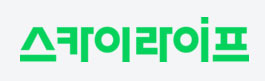 스카이라이프